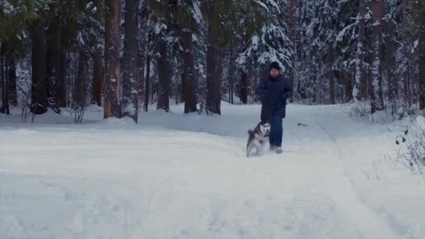 Homem corre com o cão Husky em uma floresta de inverno em direção à câmera — Vídeo de Stock