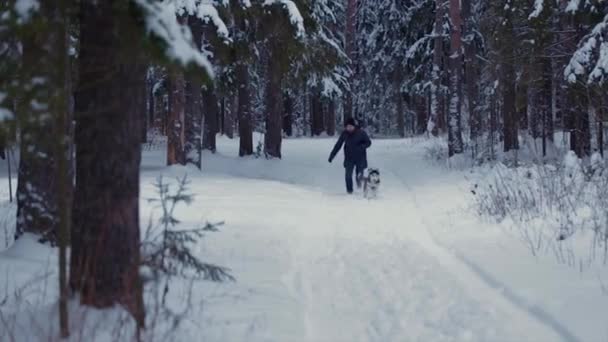 El hombre corre con el perro Husky en un bosque de invierno hacia la cámara — Vídeos de Stock