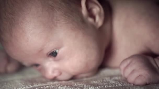 Portrait of a newborn baby is trying to raise his head lying on his stomach — Stock Video