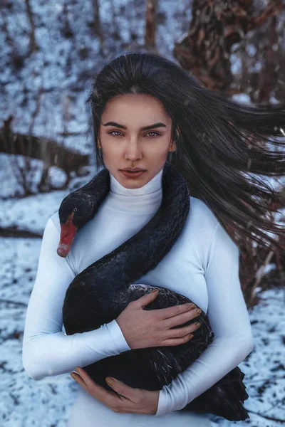黒白鳥と美しい女性 — ストック写真