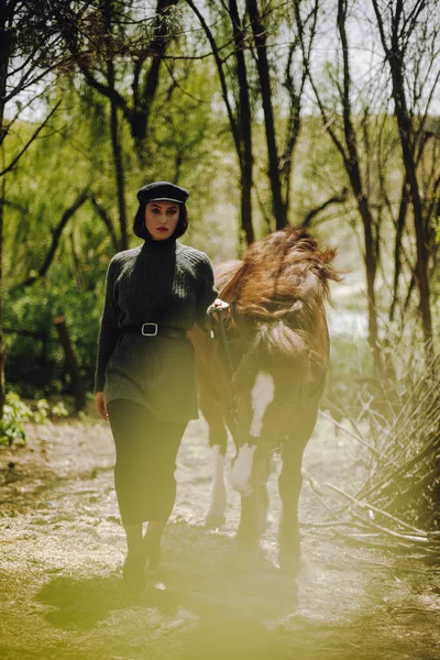 Красивая Женщина Коричневой Лошадью — стоковое фото