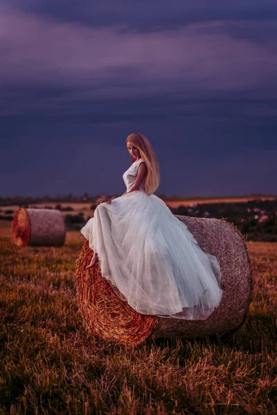 Schöne Frau Auf Dem Feld — Stockfoto