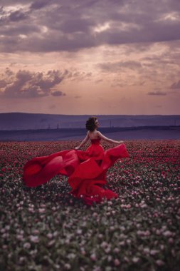 Lale tarlasında güzel bir kadın