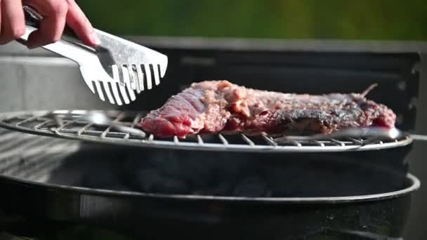 Falda Grupa Parrilla Enfoque Selectivo Video — Vídeos de Stock