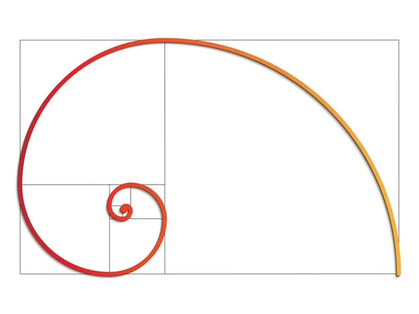 Espiral Fibonacci Vetor Eps — Vetor de Stock