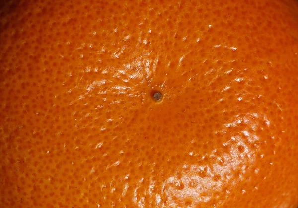 Close-up of the surface texture of an orange — Stock Photo, Image