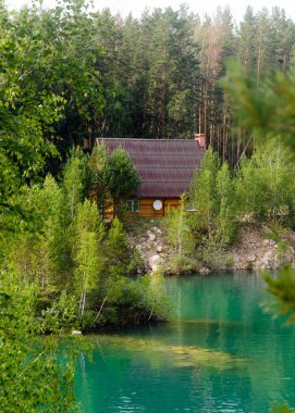 Ada ve turkuaz su ile taş Gölü kıyısında çam ağaçlarında ormanda ayakta bir uydu çanağı ile ahşap ev.