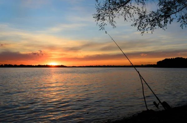 Einsame Angelrute mit einem Glockenalarm ist unter den Blättern des Baumes am Abend durch einen Fluss auf dem Hintergrund der schönen leuchtend orangen Sonnenuntergang den Horizont des Waldes und der städtischen Gebäude. — Stockfoto