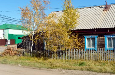 Pencereleri çitin arkasında olan ahşap bir ev Yakutia ulus Suntar 'ın kuzeyindeki yol ayrımında sarı bir huş ağacının yanında duruyor..