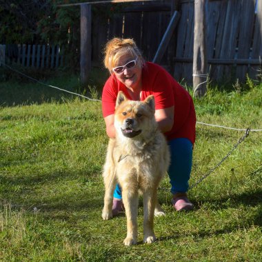 Gözlüklü neşeli Yakut kadın köpeği Akita Inu ile Yakutia 'daki köyün yeşil çimlerinde oynuyor..