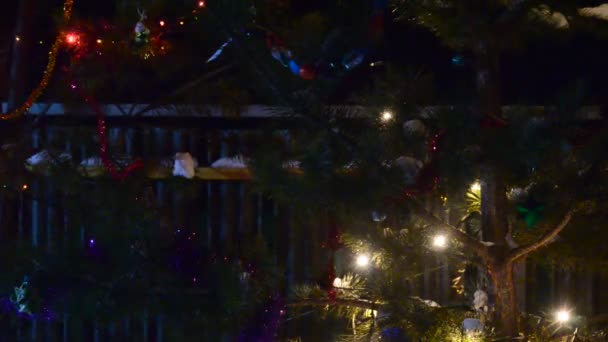 Ljusa Ljus Girlanger Flerfärgat Ljus Blinkar Den Mörka Julnatten Festlig — Stockvideo