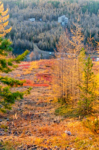 An abandoned unfinished hotel in a mountain place in Yakutia stands in the forest on a hill among the trees in the autumn in the taiga near the road.