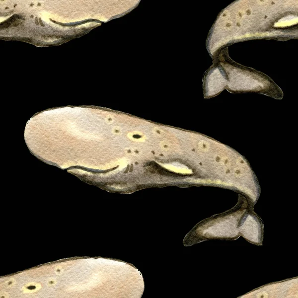 Hand drawn seamless pattern with sperm whales — Stock Photo, Image