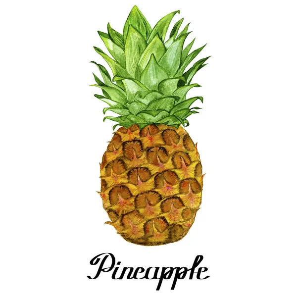 Aquarell ursprüngliche natürliche Ananas mit Kalligrafie-Text — Stockfoto