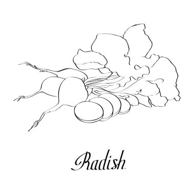 Kart için metin içeren vektör mürekkep turpu