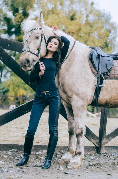 Mooie Brunette Poseren Met Een Paard Herfst Middag Levensstijl Foto — Stockfoto