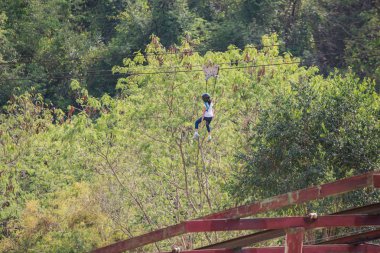 Orman uçuş, zip hattını