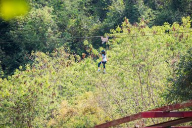 Orman uçuş, zip hattını