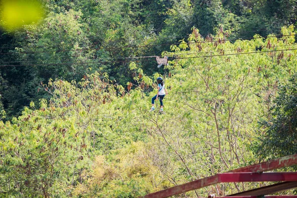 Orman uçuş, zip hattını