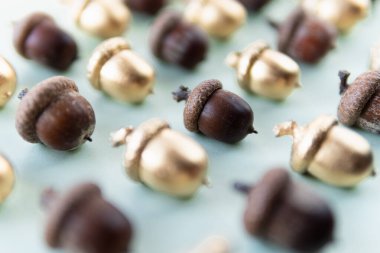 Açık yeşil arka planda altın ve doğal meşe palamudu deseni