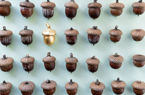 Pattern of acorns on natural green background with one golden acorn in the middle