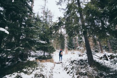 Slovakya 'da kışın yüksek Tatra dağlarında yürüyüş yapan bir kadın