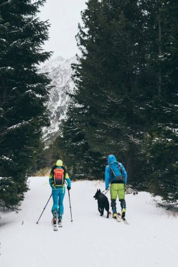 Slovakya 'da kışın High Tatra dağlarında köpekle kayak yapan çift.