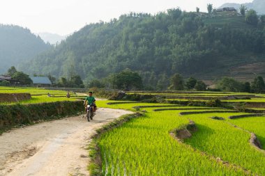 Ta Van, Vietnam - Mayıs 2019: Lao Cai bölgesinde Sapa 'nın pirinç teraslarında motosiklet süren adam