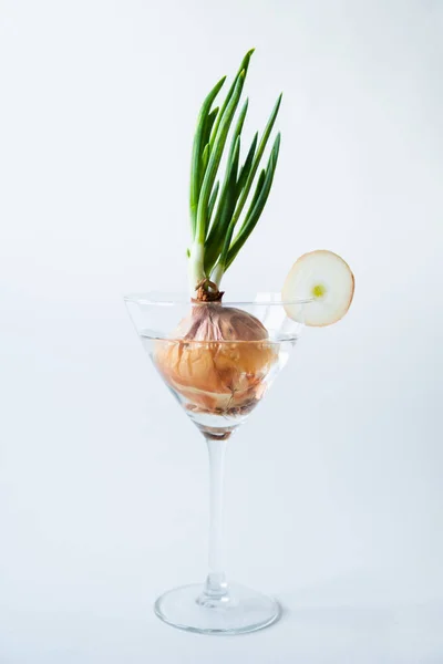 绿色的洋葱生长在白色背景的干鸡尾酒杯中 素食和有机耕作概念 — 图库照片