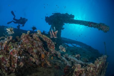Sualtı batık keşfedin