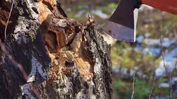 Detalhe do macaco de madeira cortando lenha com um machado para o inverno. Close up of woodcutter splits wood, rural scene. Registros de preparação para o inverno frio em alta definição — Vídeo de Stock