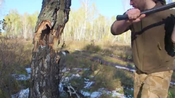 Lumberjack arbetaren hugga ner ett träd att bryta bort många flisor i skogen med stor yxa. Stark frisk vuxen slet mannen med stora muskler som arbetar med stor yxa utomhus — Stockvideo