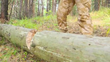 Büyük ağaç, arka plan üzerinde bulanık oduncu balta görünümünü kapat