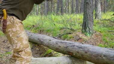 Oduncu işçisi birçok parçalanmak ormanda büyük baltayla kırma ağaç doğrama. Açık havada büyük balta ile çalışan büyük kaslı adam sökük güçlü sağlıklı Yetişkin