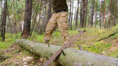 Oduncu işçisi birçok parçalanmak ormanda büyük baltayla kırma ağaç doğrama. Açık havada büyük balta ile çalışan büyük kaslı adam sökük güçlü sağlıklı Yetişkin