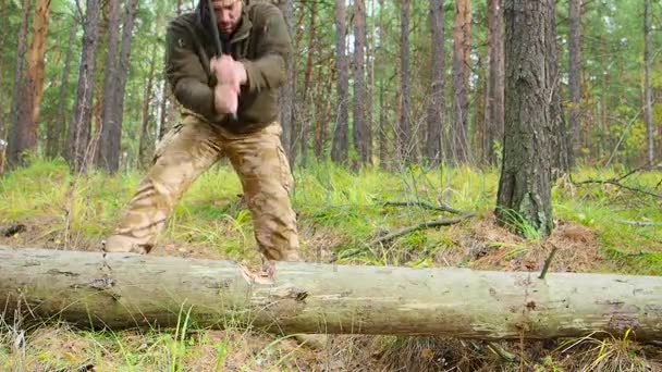 Lumberjack worker chopping down a tree breaking off many splinters in the forest with big axe. Strong healthy adult ripped man with big muscles working with big axe outdoors — Stock Video