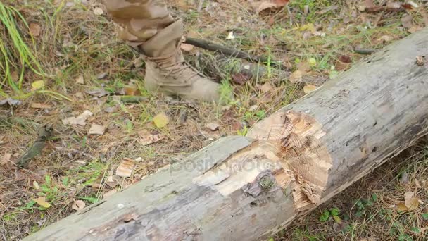 Ax primer plano de un árbol que corta. Muchas astillas de madera se separan. Concepto de industria y silvicultura. Fondo borroso y efecto de luz solar — Vídeo de stock