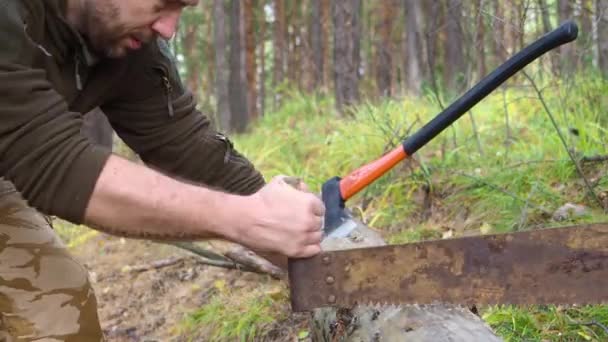 Man sågning av trä i skogen. Närbild såg och skogshuggare hand träd utomhus. Man skär logg av trä. — Stockvideo