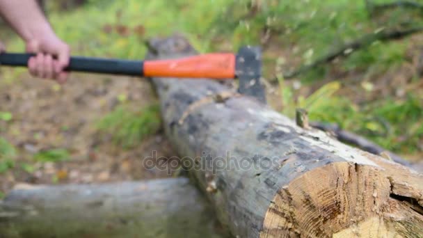 Руки дровосека, который рубит дрова топором — стоковое видео