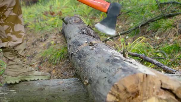 Hans de leñador que corta madera con un hacha — Vídeo de stock