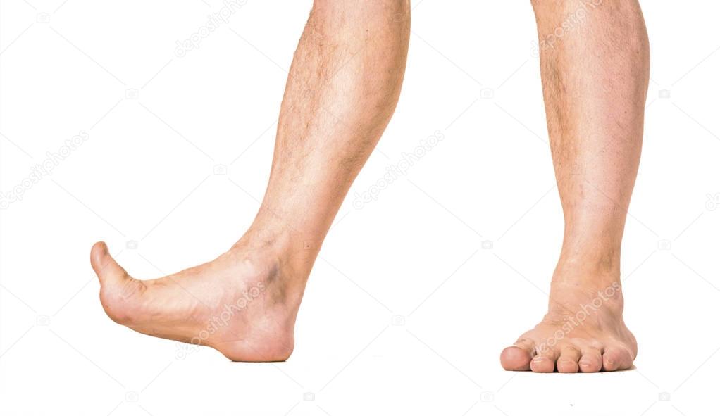 male hairy legs isolated on white background