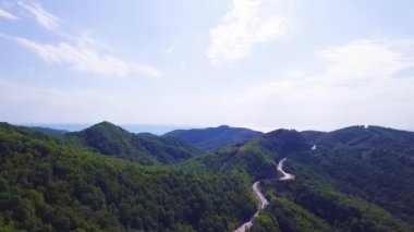 geriye doğru çam ormanlar orman ve kayalık dağ uzak yaz günü içinde hareket. Avrupa İtalya Alps açık yeşil doğa scape dağlar yabani hava ILDIZ. drone uçuş atış kurulması