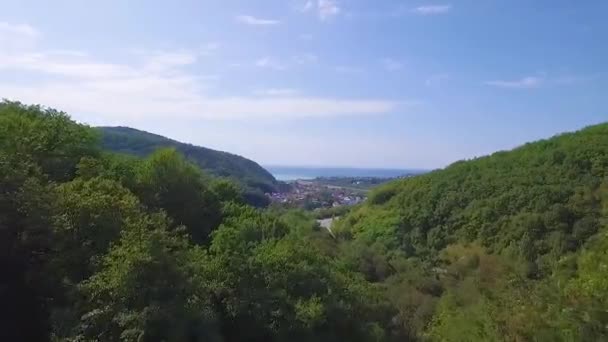 在夏天的时候从松树林和洛基山上向后移动 欧洲意大利阿尔卑斯山户外绿色自然景观山野空中制订者 无人机飞行建立射击 — 图库视频影像