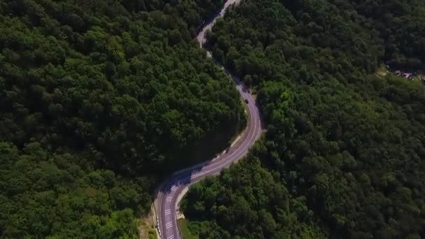 Vista Aérea Volando Sobre Viejo Parcheado Carretera Forestal Dos Carriles — Vídeos de Stock