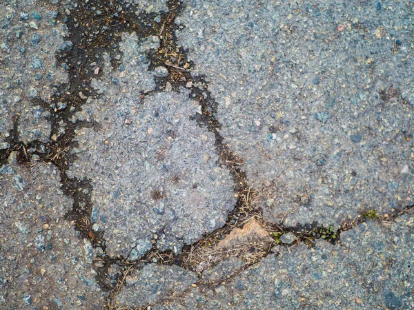Bad road. Bad asphalt. Web of beautiful bright deep cracks in the asphalt. Road in cracks was overgrown with moss. Road repair. Creative background of abandonment, ruin, debris, crisis. Ruined Asphalt