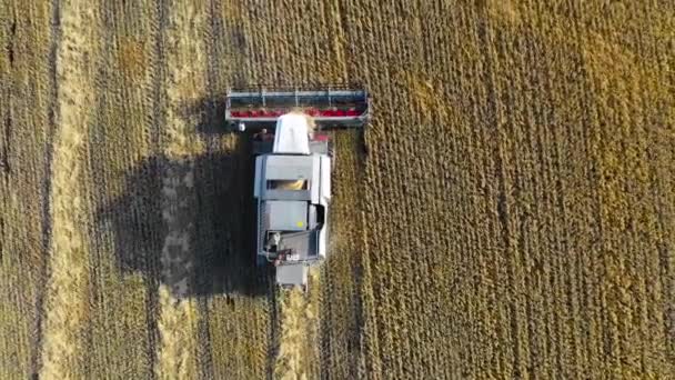 畑で作業する収穫機を組み合わせてください。トップ空中射撃. — ストック動画