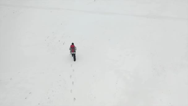 Aerial top view: human walk by snowy desert. — 비디오