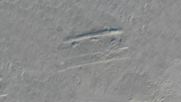 Chica feliz cae en la nieve para crear un ángel de nieve. Vista aérea . — Vídeos de Stock