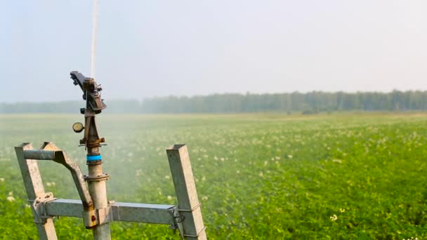 Close up footage of working irrigation sprincler on an agricultural field — Stockvideo