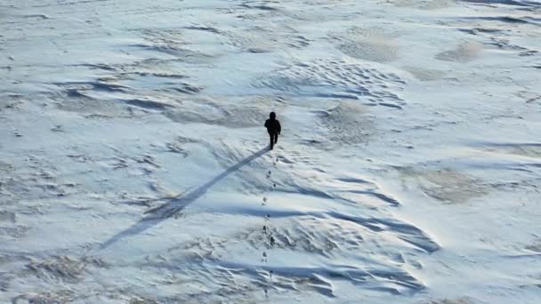 Vue aérienne d'un homme avec un sac à dos marchant dans la toundra . — Video